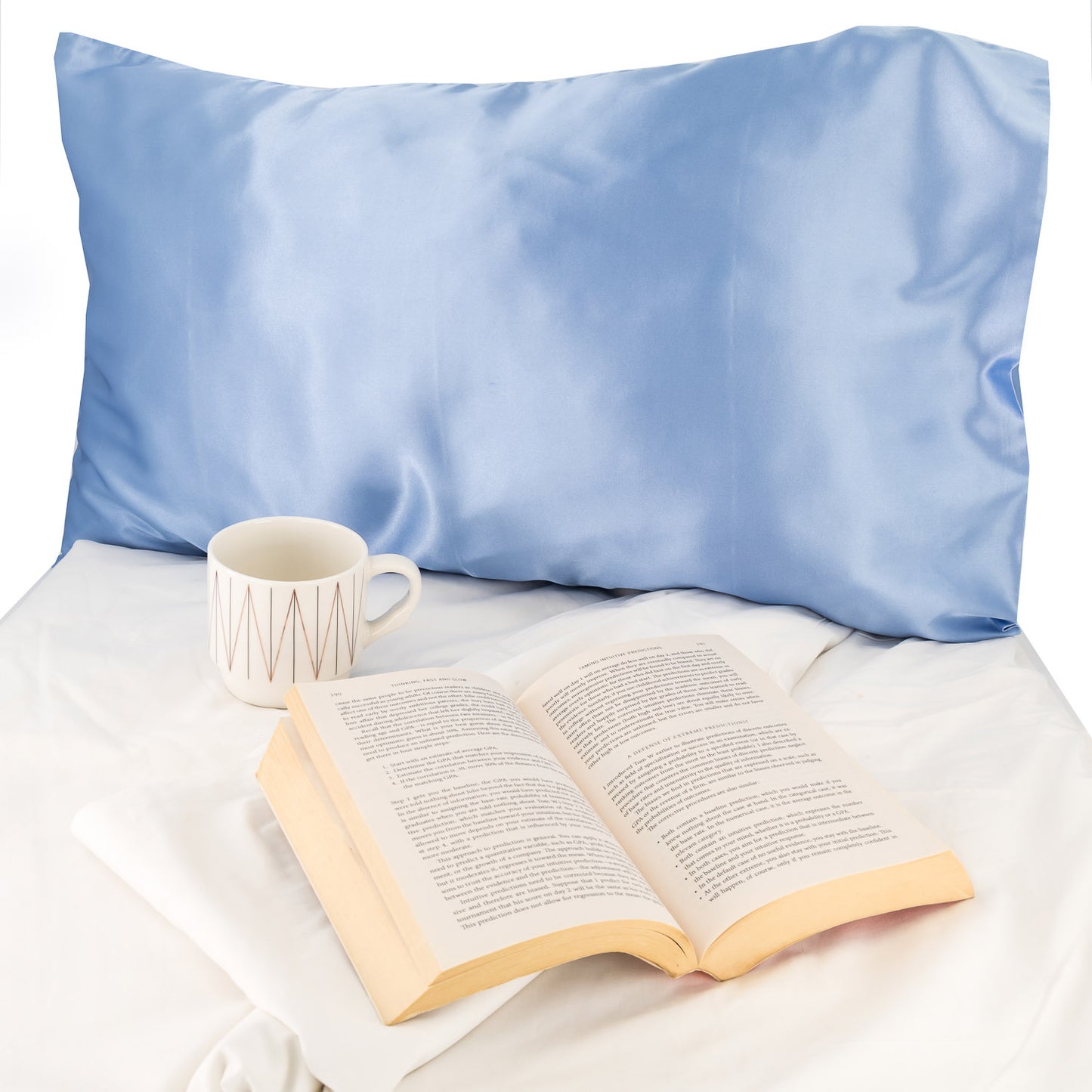ESC Satin Pillowcases - Blue